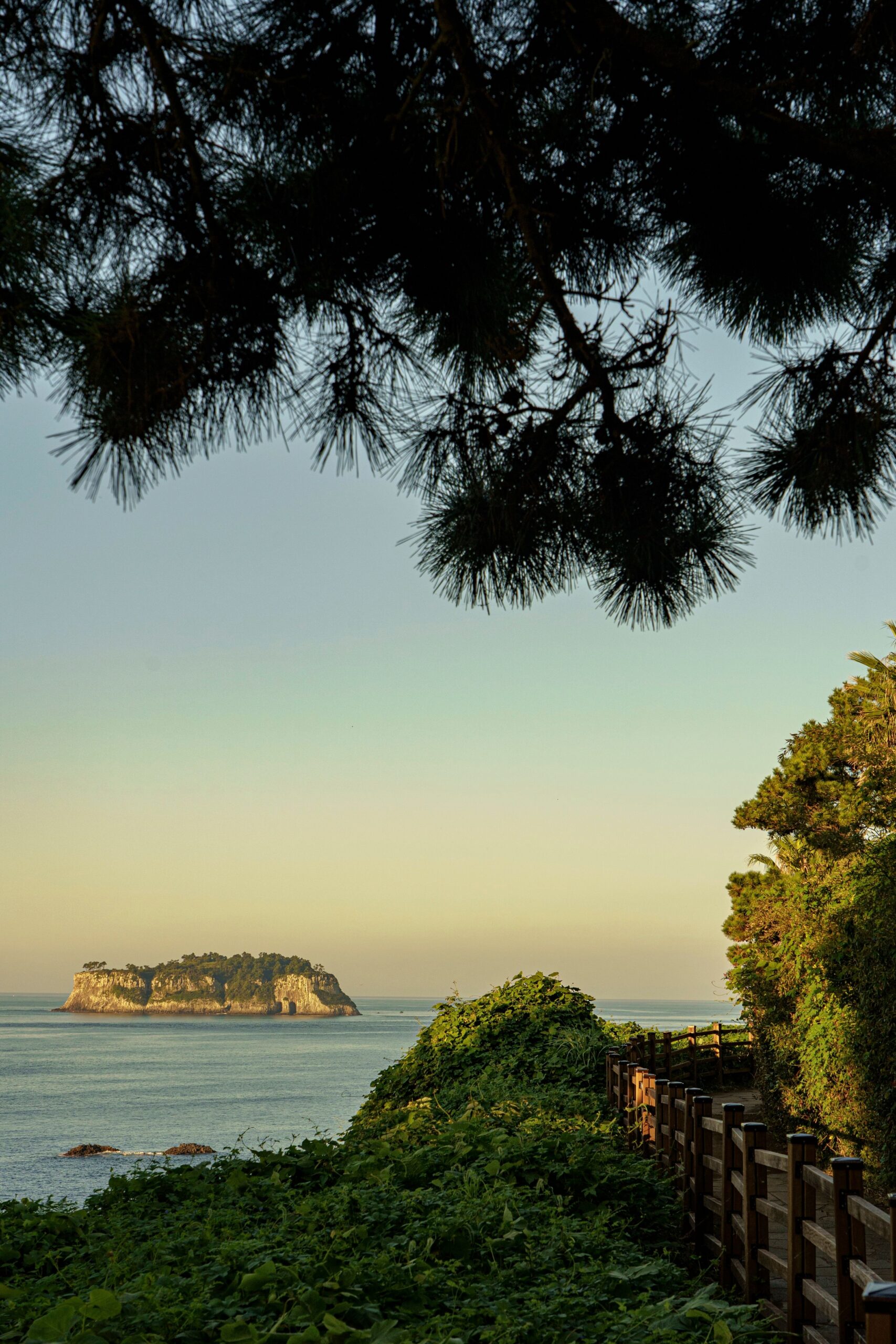 A South Korean Honeymoon: A Vibrant Exploration of Culture, Cuisine, and Connection