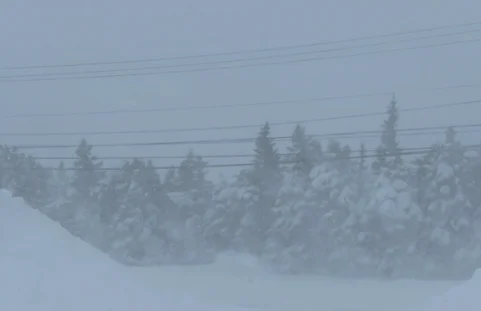 Atlantic Canada Braces for Major Winter Storm as Intense Low-Pressure System Approaches, Triggering Widespread Watches and Warnings.
