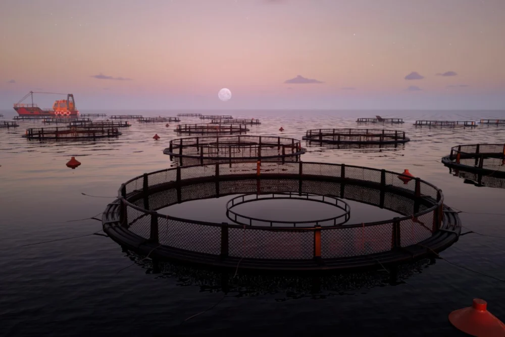 Bipartisan MARA Act Poised to Catalyze U.S. Deep Ocean Aquaculture Research Amidst Complex Regulatory Landscape and Stakeholder Divisions