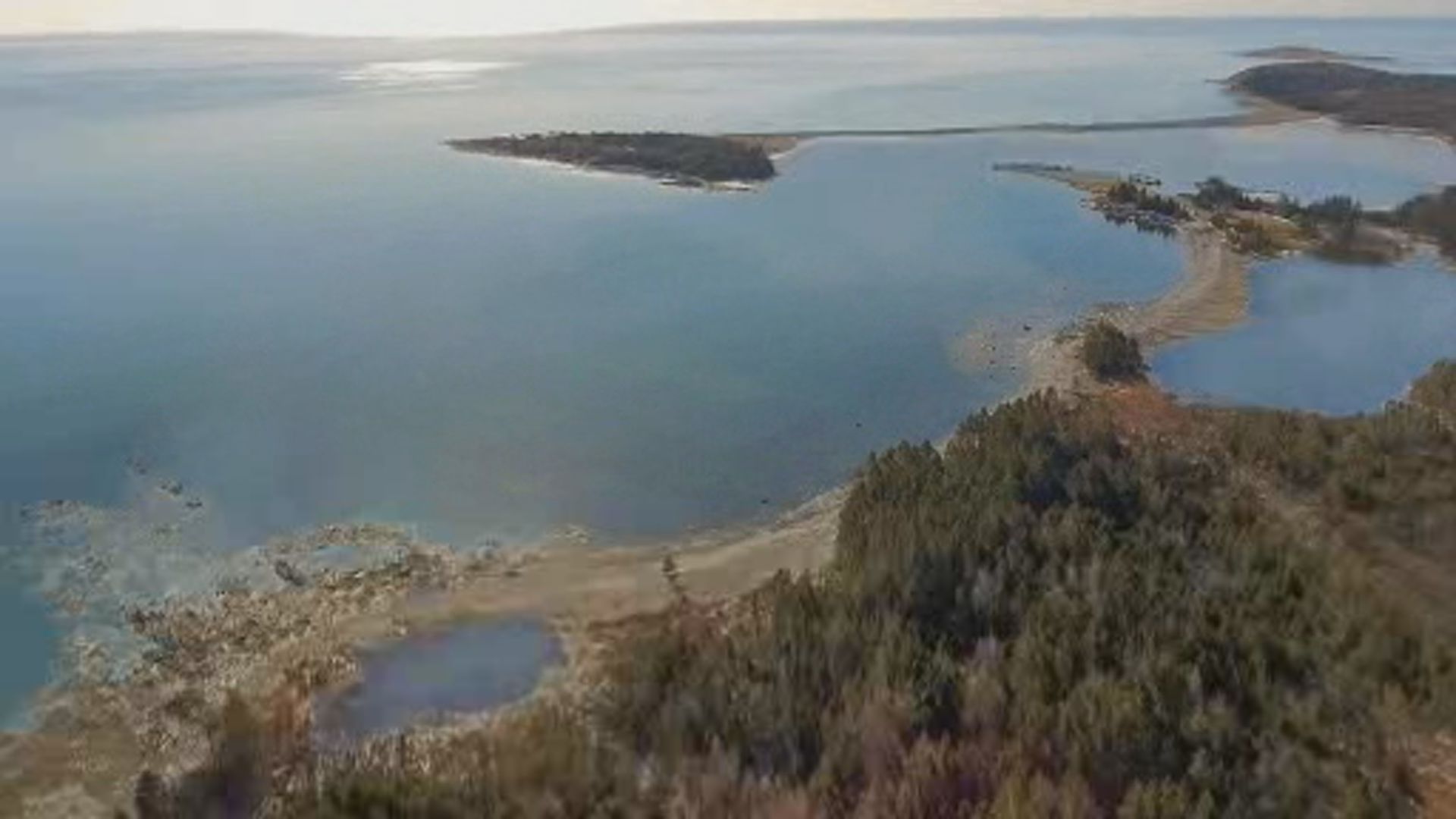 Controversy Erupts Over Proposed Nova Scotia Orca Sanctuary as Paul Watson Challenges Transfer of French Captives