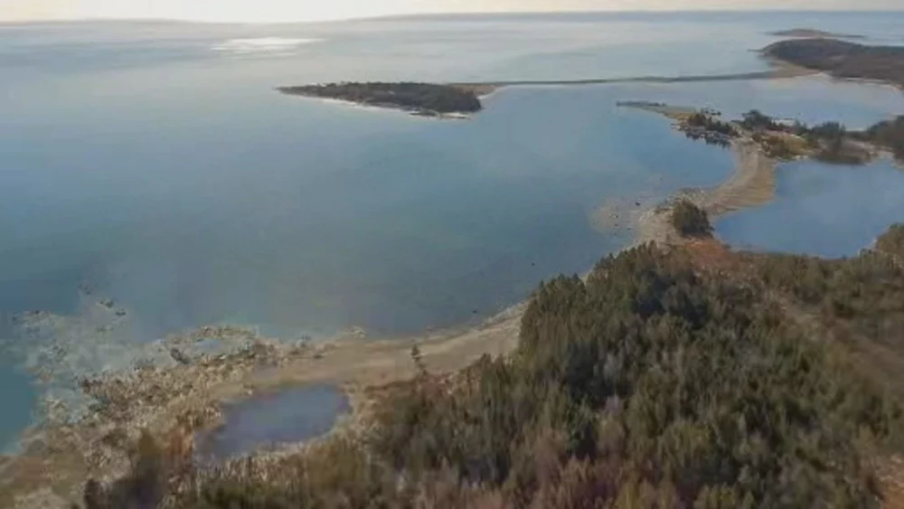 Controversy Erupts Over Proposed Nova Scotia Orca Sanctuary as Paul Watson Challenges Transfer of French Captives