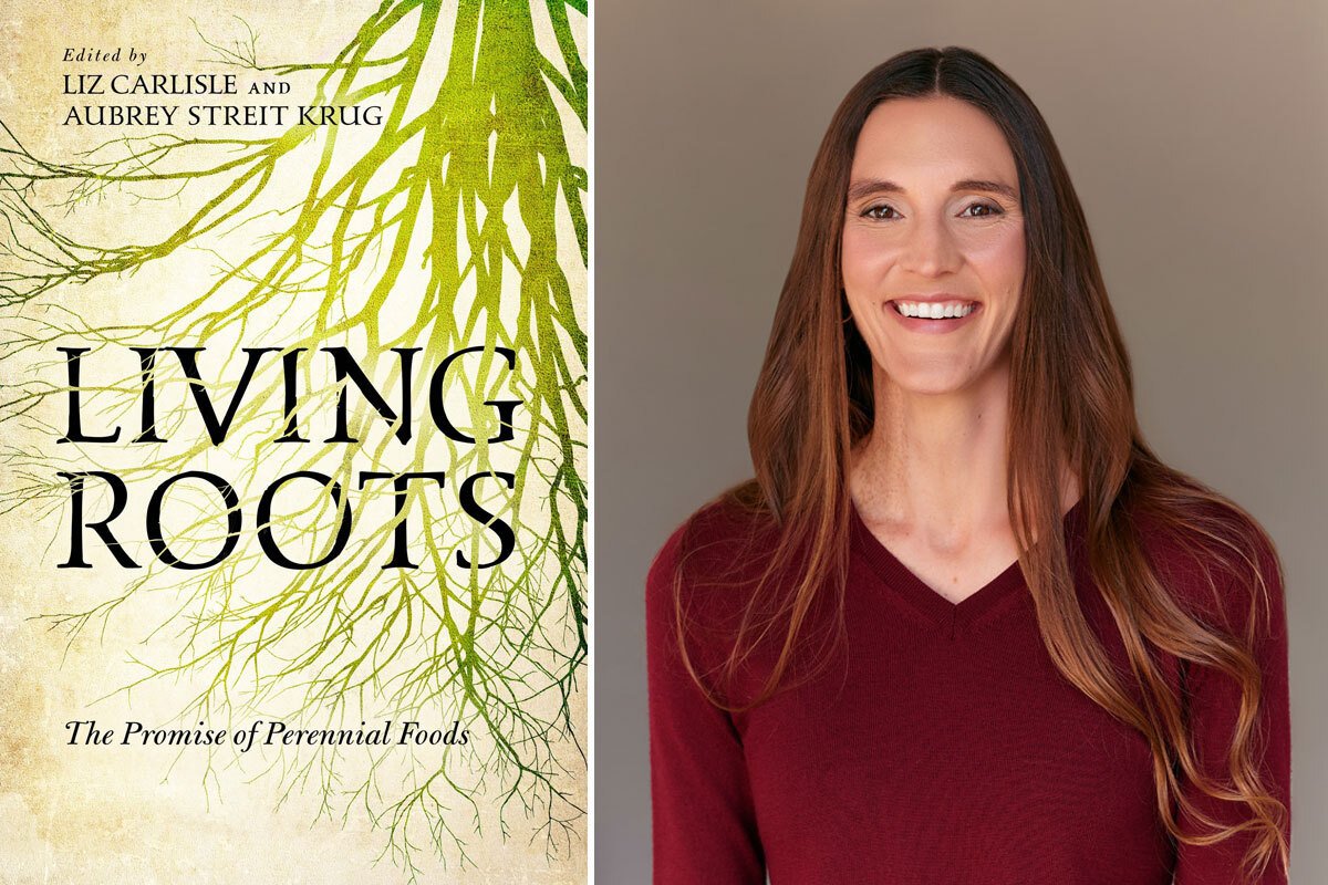 Embracing Perennial Agriculture: A Vision for Climate Resilience and Food System Transformation