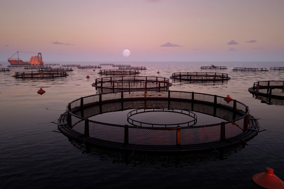 Marine Aquaculture Research for America (MARA) Act Advances, Poised to Reshape U.S. Seafood Production and Reduce Import Dependency.