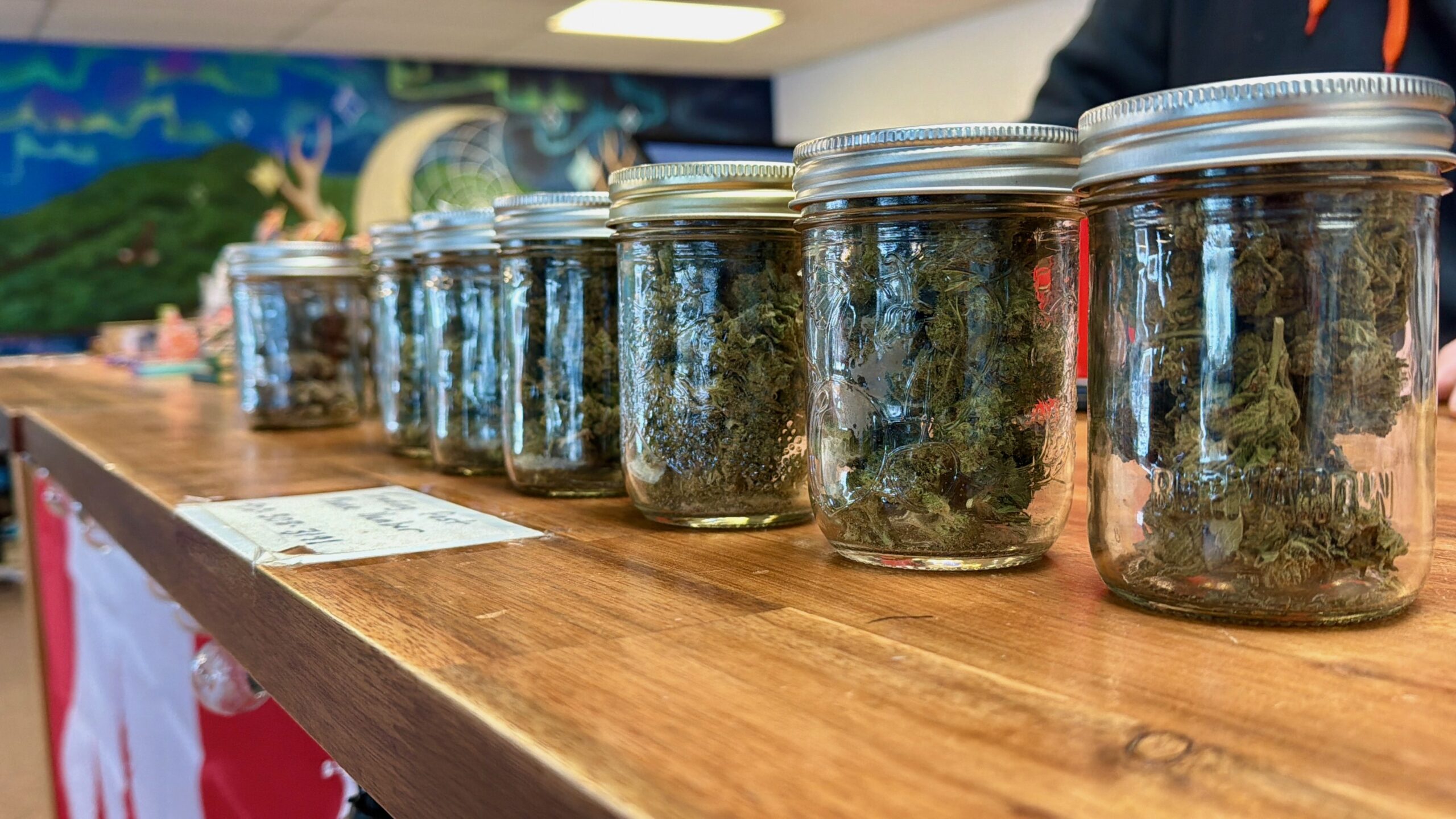 Nova Scotia Strengthens Cannabis Control Act Amidst Deepening Tensions Over Illegal Dispensaries and Indigenous Rights