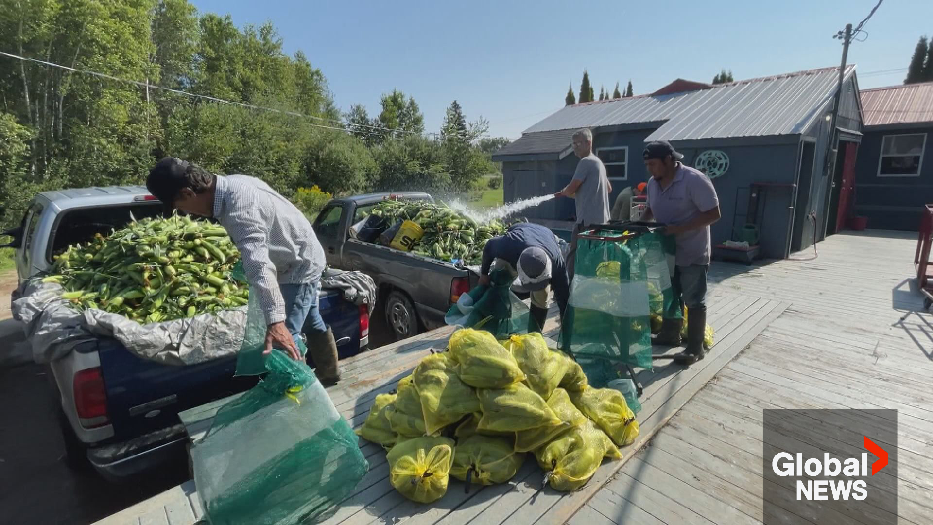 Southern Ontario Man Charged with Human Trafficking and Extortion Following Exploitation of Foreign Worker in Nova Scotia