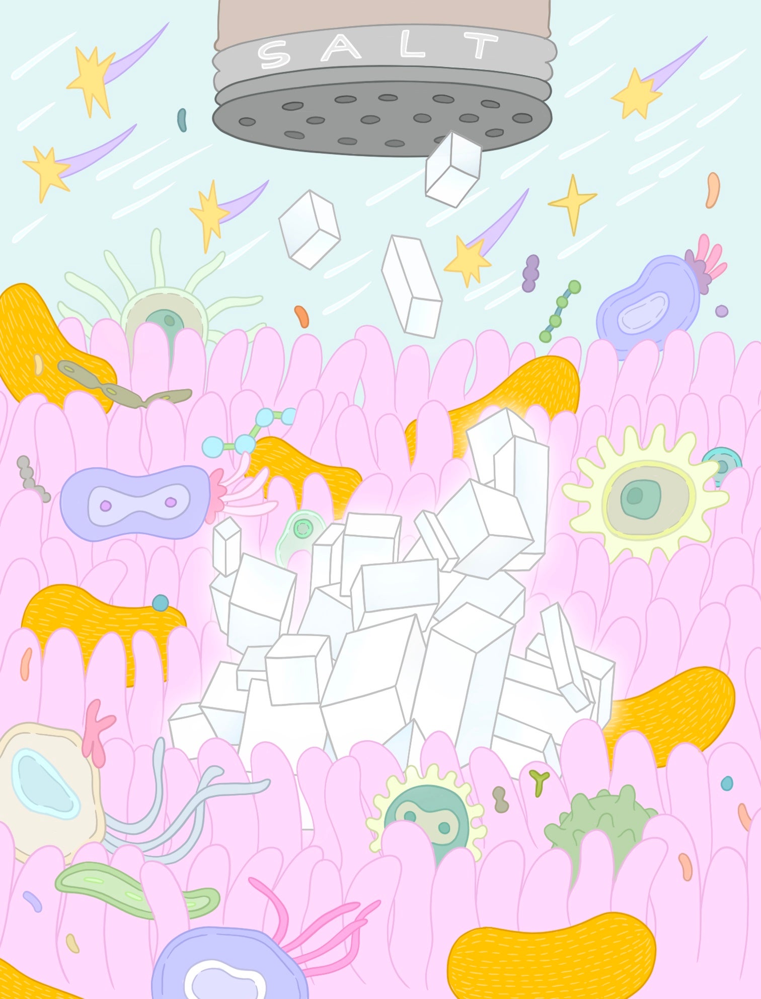 The Complex Relationship Between Salt, Our Bodies, and the Modern Diet