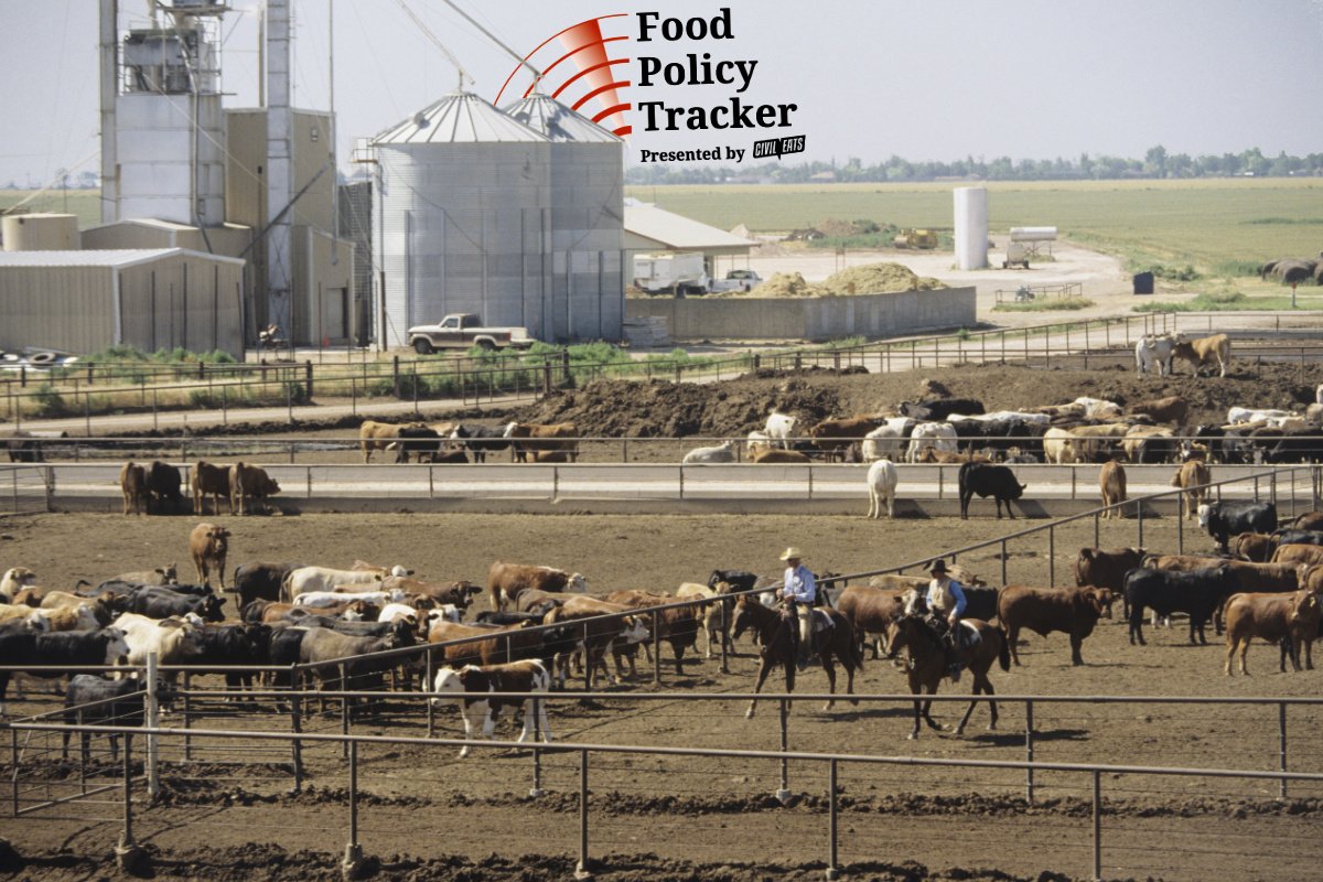 Trump Administration Finalizes Deal to Quadruple Argentine Beef Imports Amid Domestic Outcry