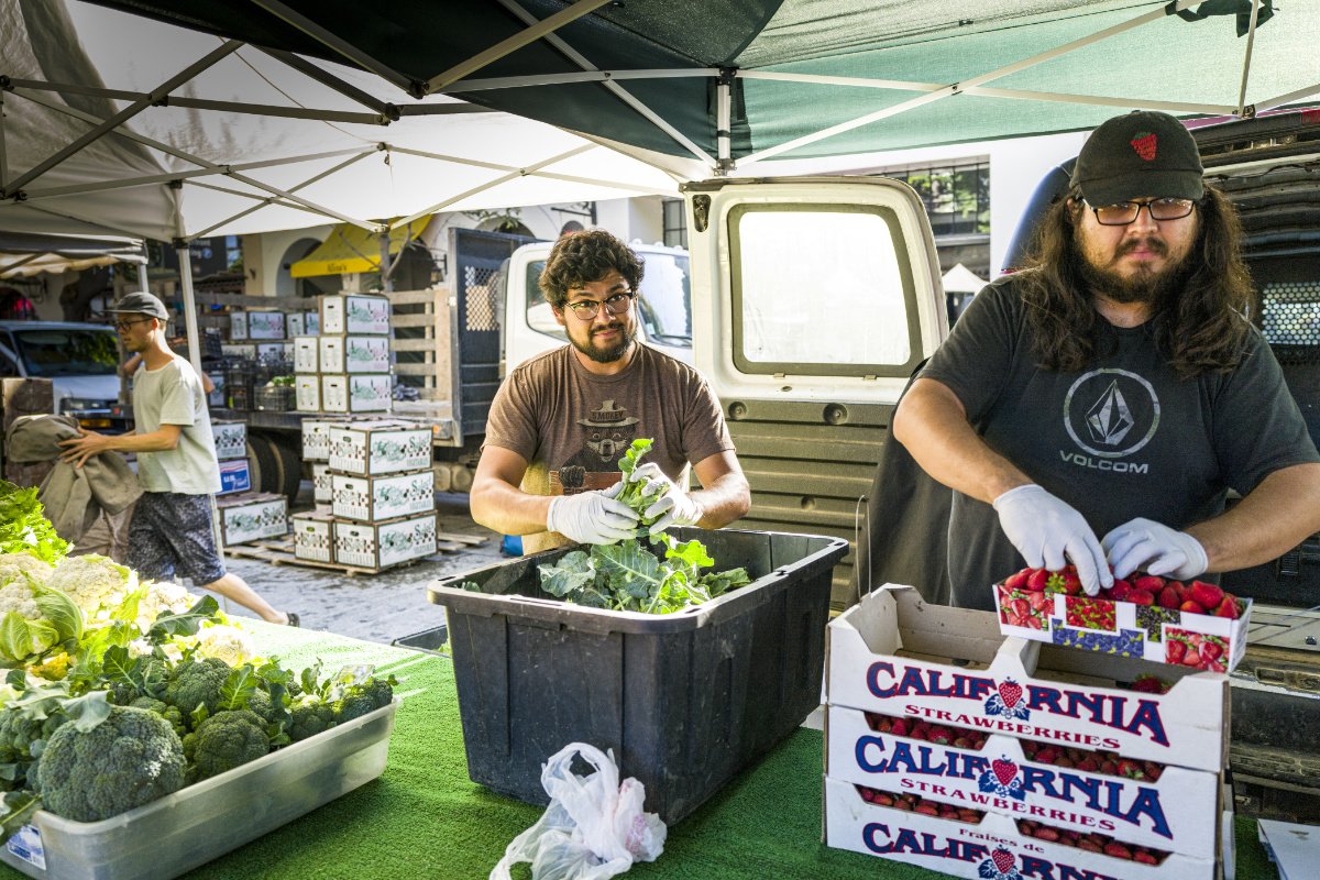 California Confronts Federal Opposition Over Farmland Equity Initiative as USDA Threatens Legal Action