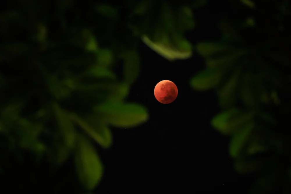 Canadians Witness Rare Celestial Spectacle as Total Lunar Eclipse Transforms Moon into ‘Blood Moon’