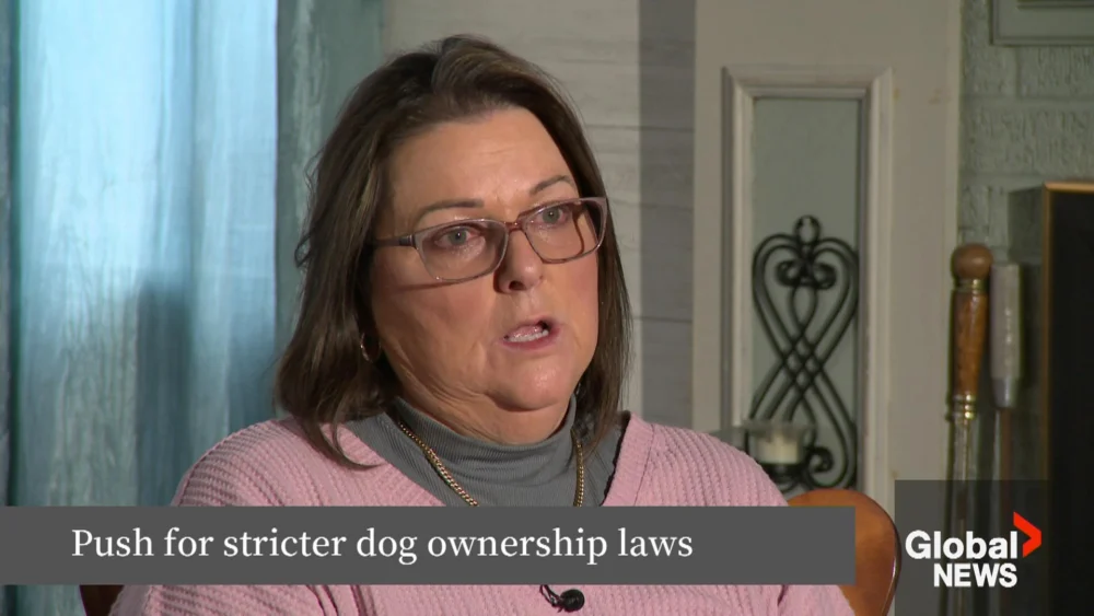 Halifax Regional Council Poised to Vote on Landmark Dangerous Dog Legislation Amid Province-Wide Calls for Reform Following Tragic Fatal Attack