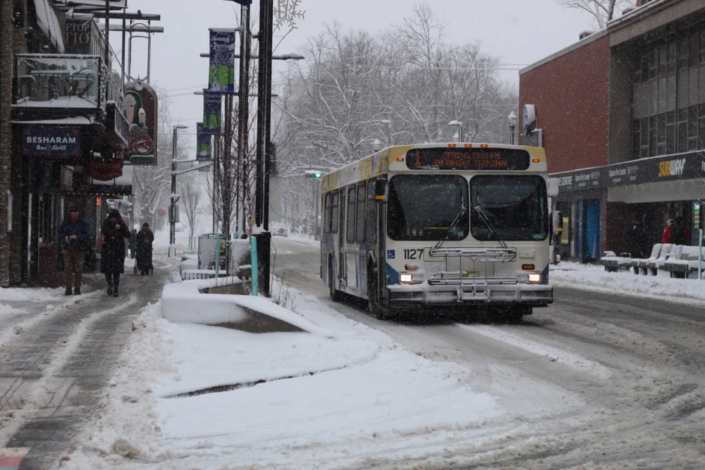 Halifax teens lament the loss of government program offering free bus passes