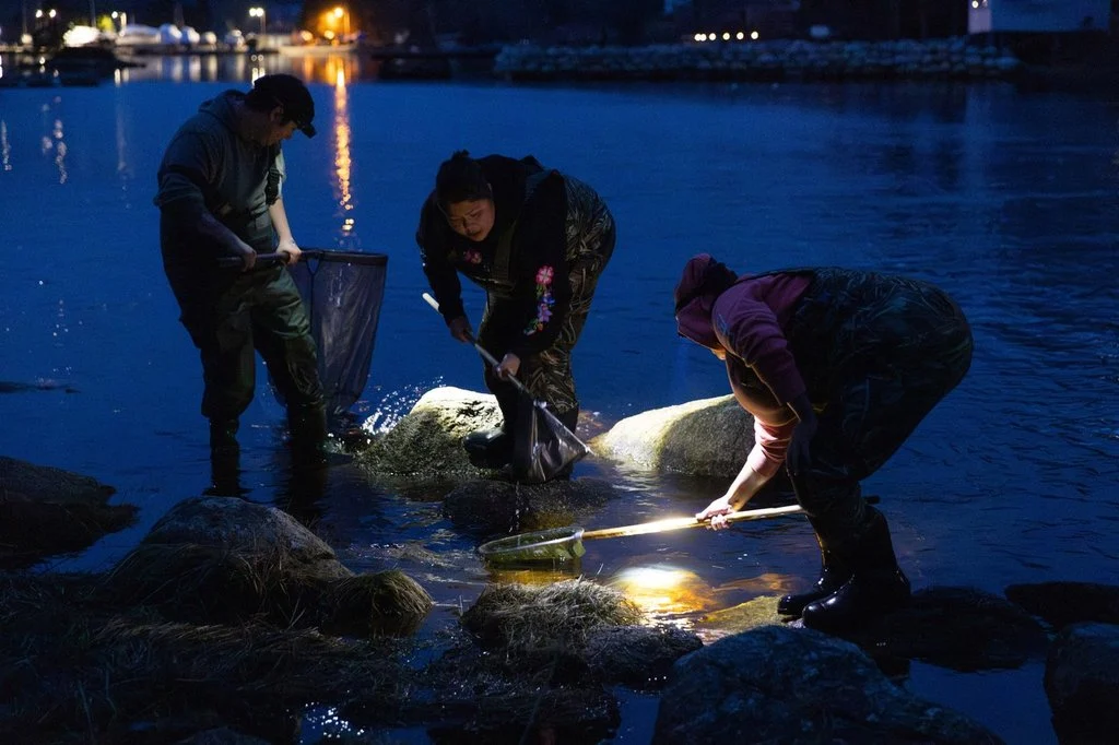 Ottawa Increases Elver Quota by 22 Percent for 2026 Season Amidst Easing Tensions and Ongoing Reconciliation Efforts