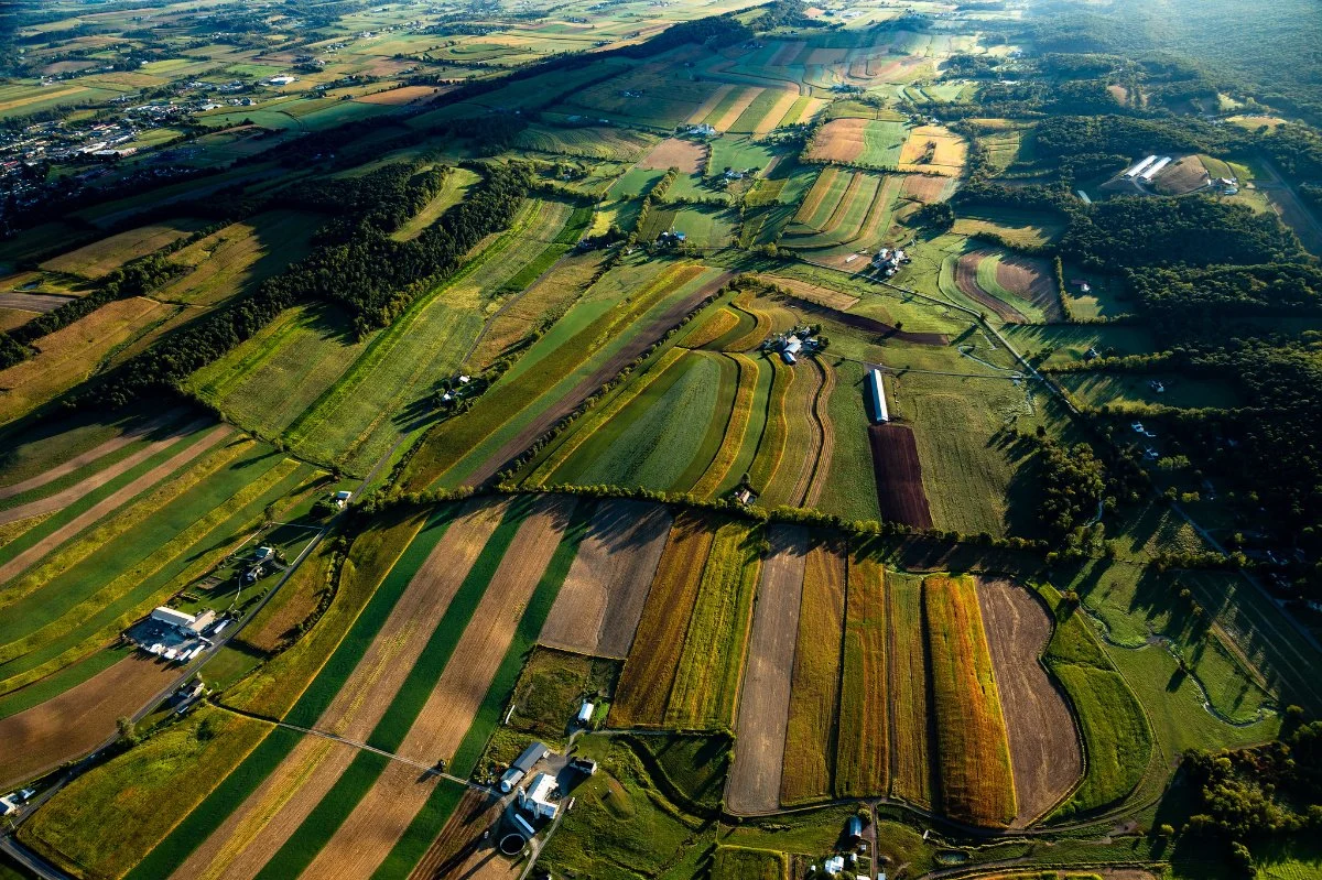 States Forge New Paths in Agricultural Policy Amidst Federal Gridlock
