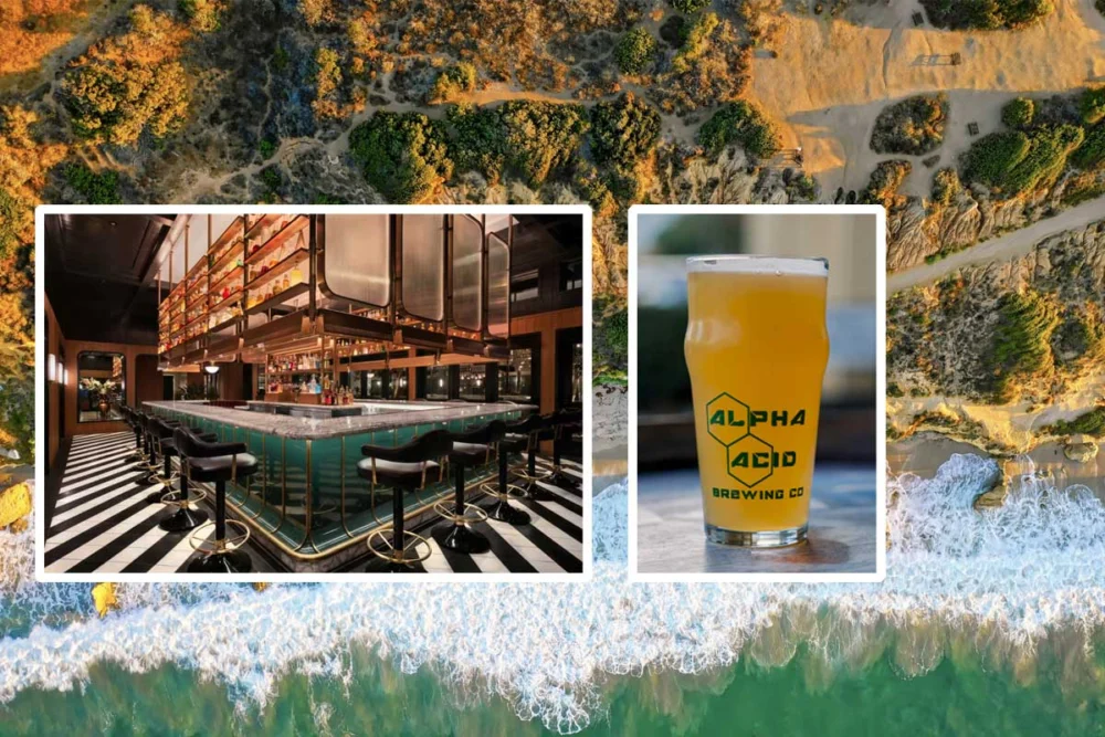 The Emerging San Francisco Peninsula Beer Trail: A Comprehensive Guide to San Mateo County’s Craft Brewing Renaissance