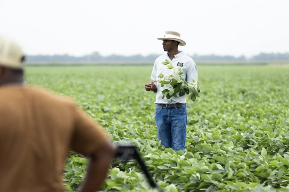 The Enduring Fight: Systemic Challenges and Resilient Solutions for Black Farmers in America