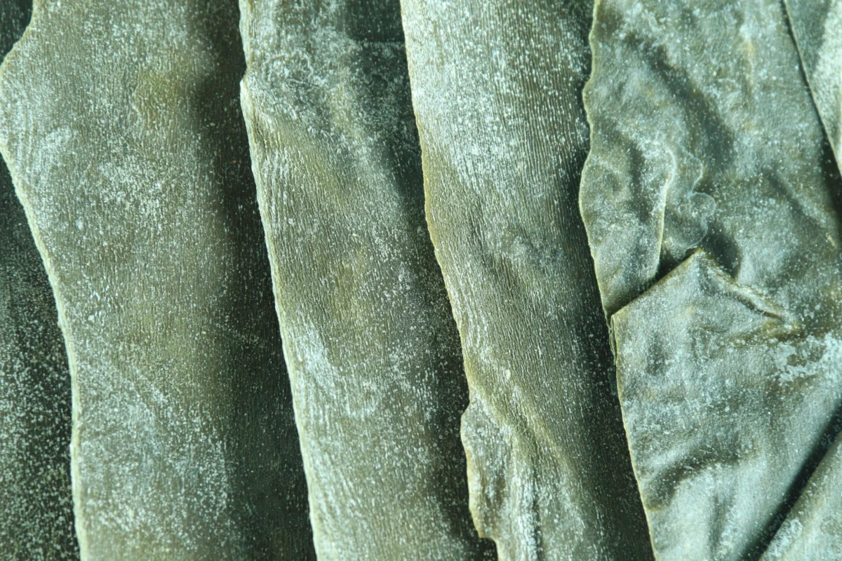 The Ocean’s Green Gold: How Seaweed Cultivation is Reshaping American Cuisine and Combating Climate Change