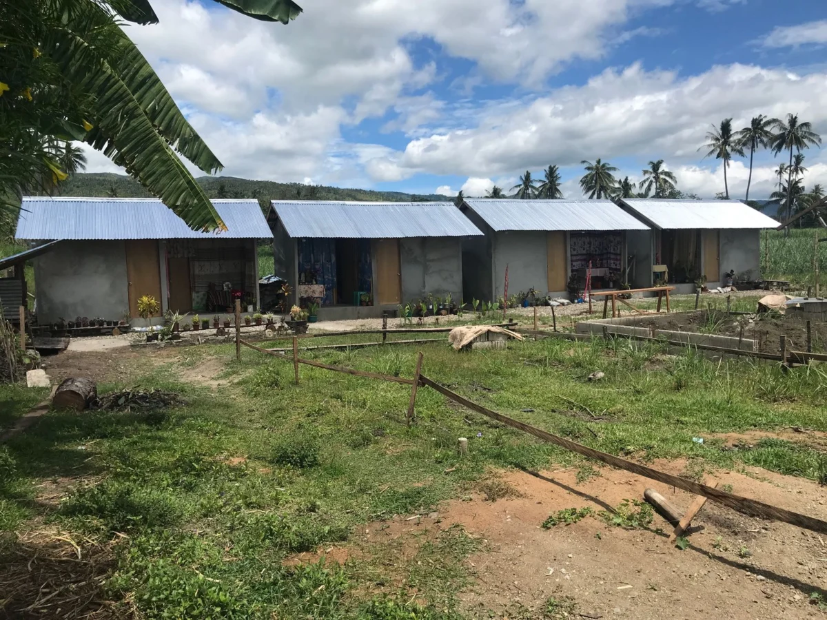 Bamboo: A Sustainable and Resilient Solution for the Philippines’ Housing Crisis
