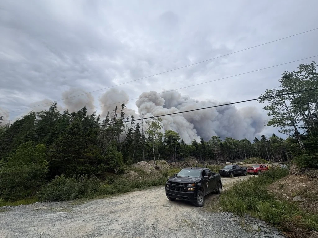 Mooseland Road Wildfire Northeast of Halifax Declared Held After Intensive Multi-Agency Suppression Efforts