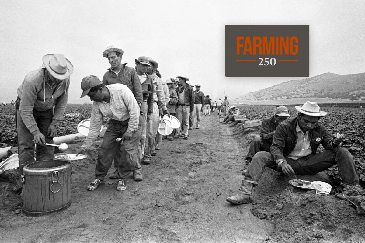 The Unfolding Crisis: How America’s Farms Are Increasingly Reliant on a Controversial Guestworker Program Amid Persistent Labor Shortages