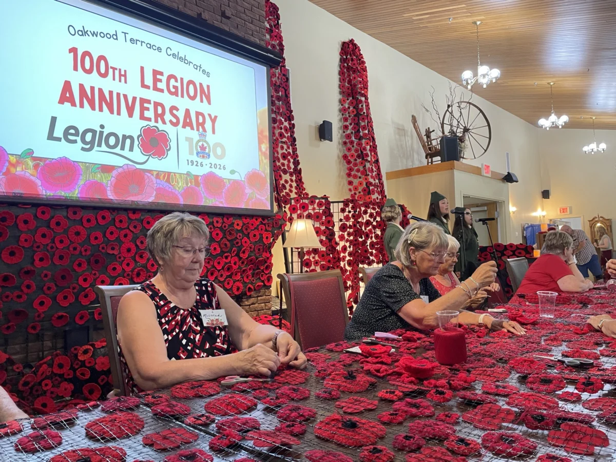Volunteers in Nova Scotia Mark Royal Canadian Legion’s Centennial with Expansive Poppy Display and Dedication to Remembrance