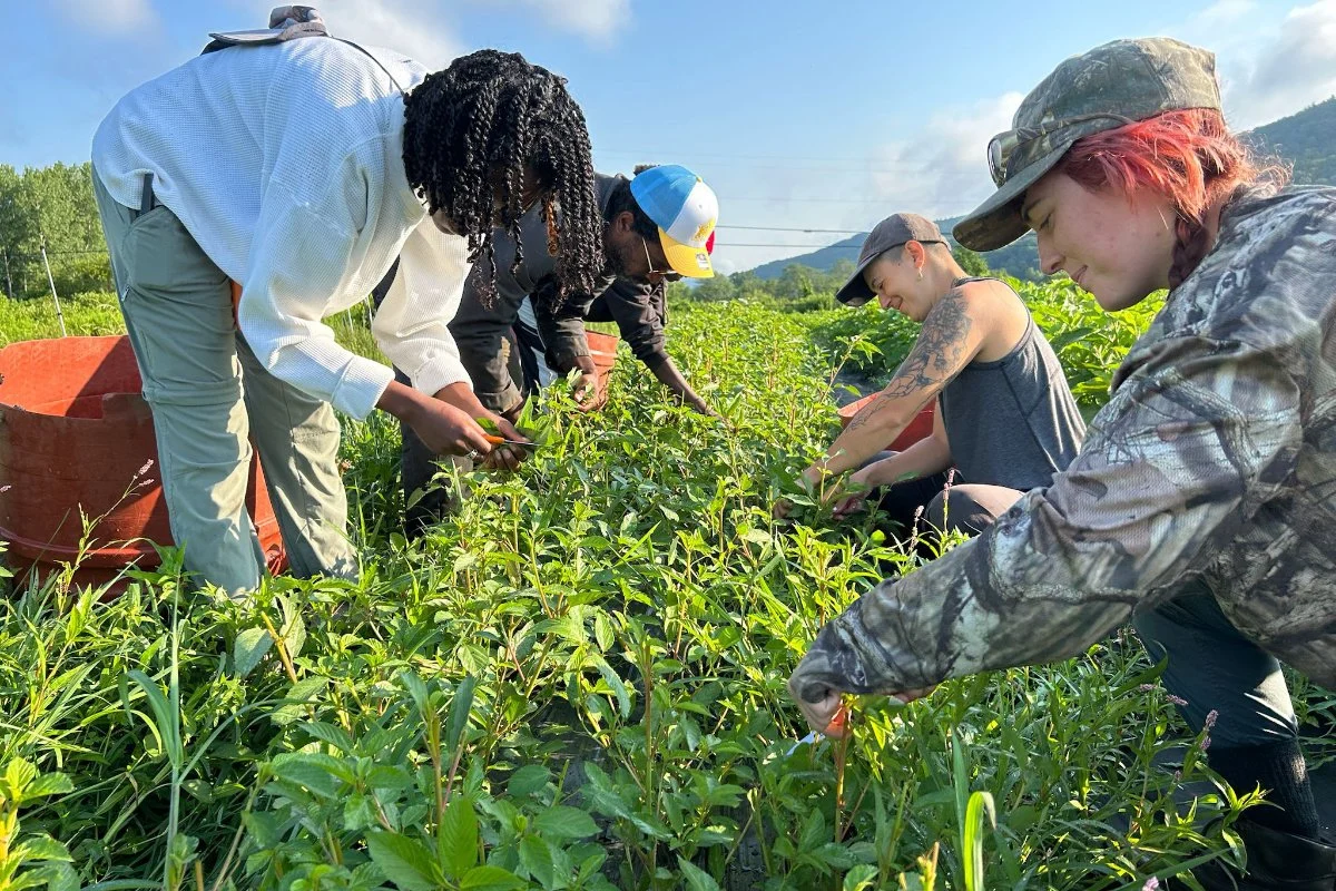 A Pivotal Year: How the Trump Administration and Congress Reshaped U.S. Food Policy in 2025-2026