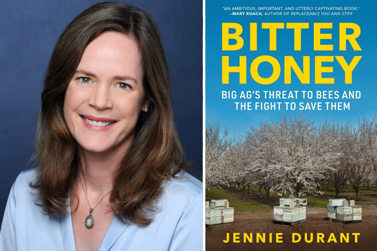Bitter Honey: Unmasking Industrial Agriculture’s Threat to Global Pollinators and Our Food Security