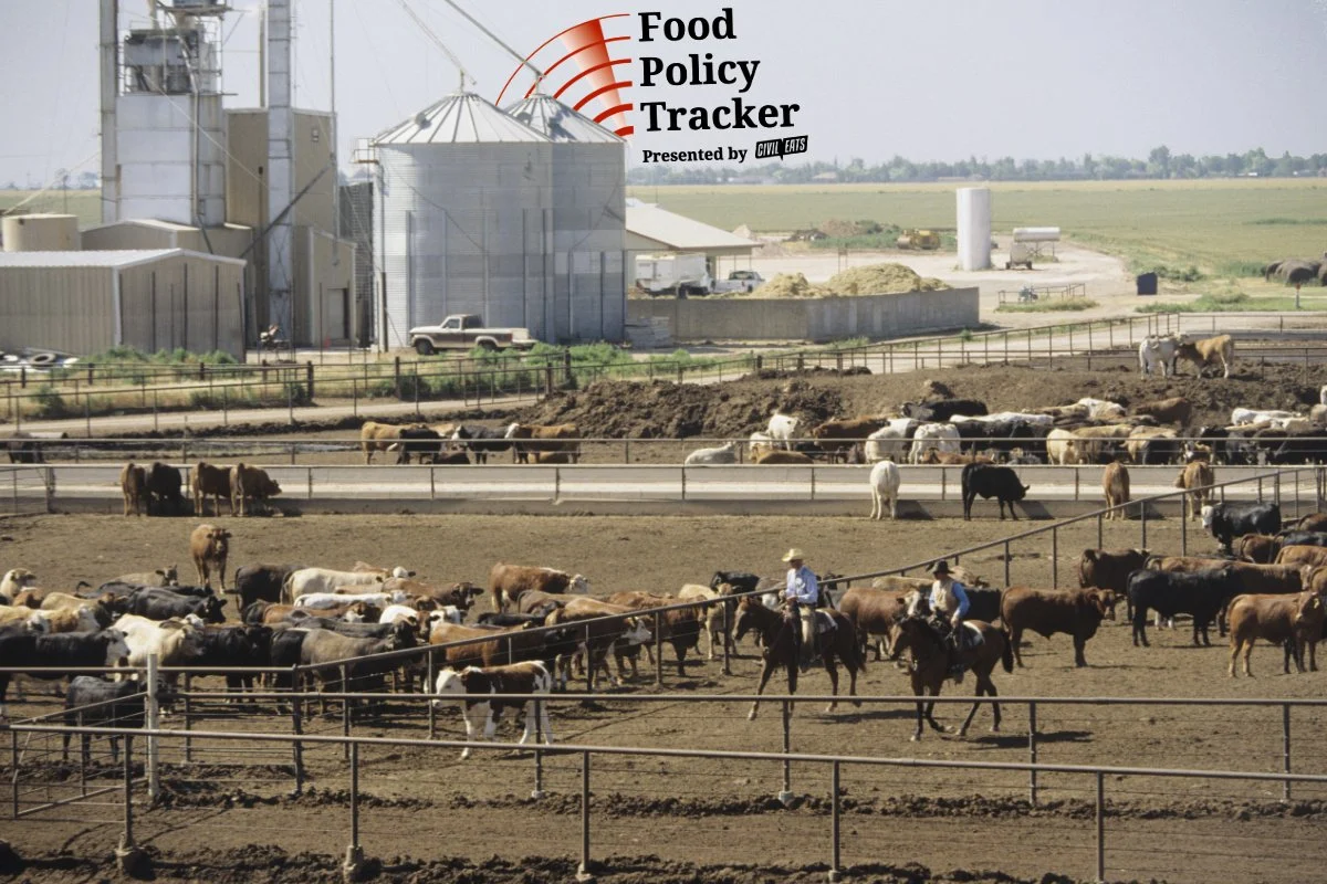 FDA Updates Antibiotic Risk Framework for Animal Agriculture Amidst Calls for Broader Reform