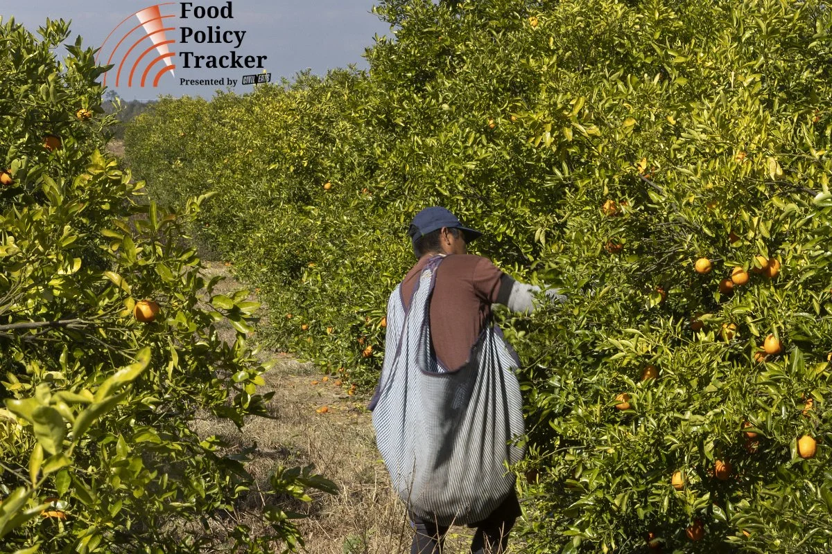 Federal Court Strikes Down Wage Cut for Guestworkers on Farms