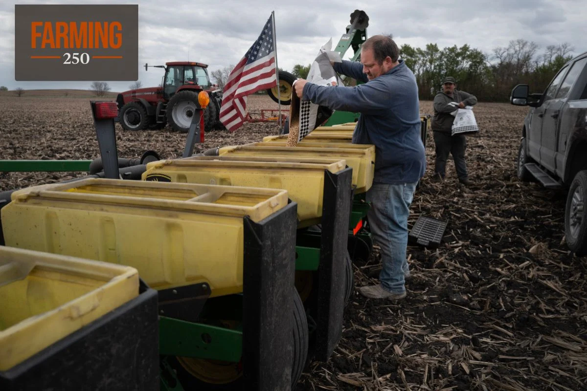 Seed Patents Fuel Corporate Dominance, Siphon Farmer Subsidies, and Impede Agricultural Innovation