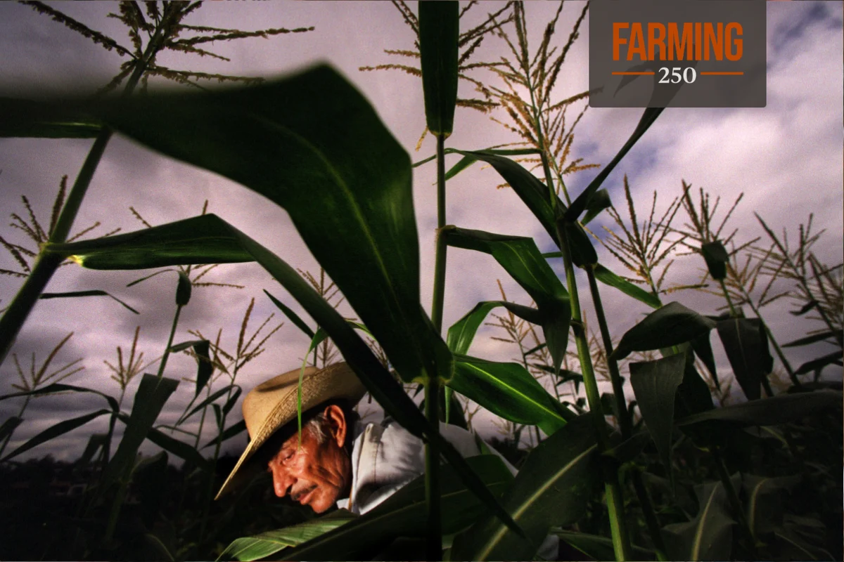 The Silent Erosion: How Climate Change and Agricultural Practices Are Depleting the Nutritional Value of Our Global Food Supply