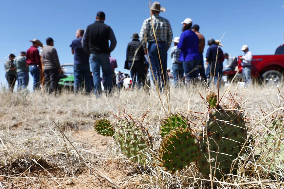 A Critical Look at the Trump Administration’s Regenerative Agriculture Pilot: Investment or Reallocation?