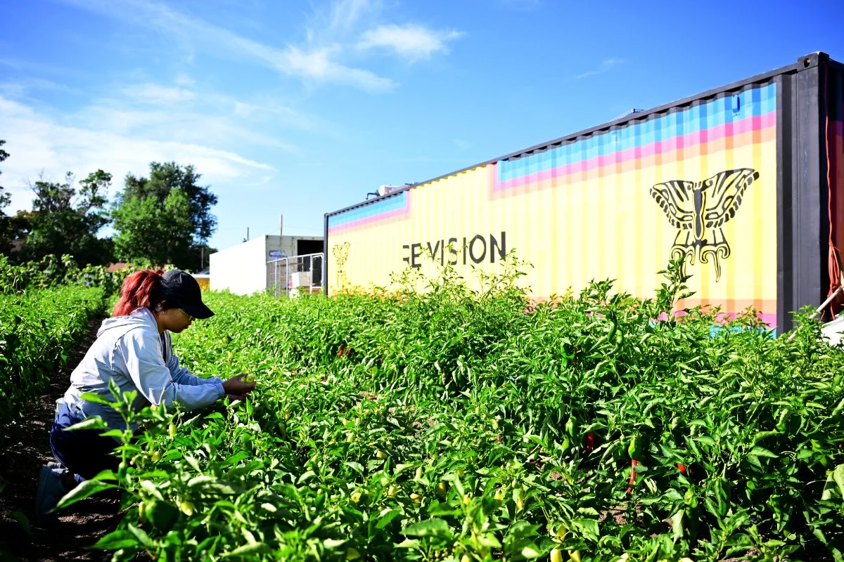The Enduring Roots and Evolving Landscape of Urban Agriculture in the United States: A Vital Strategy for Resilience and Community Sovereignty