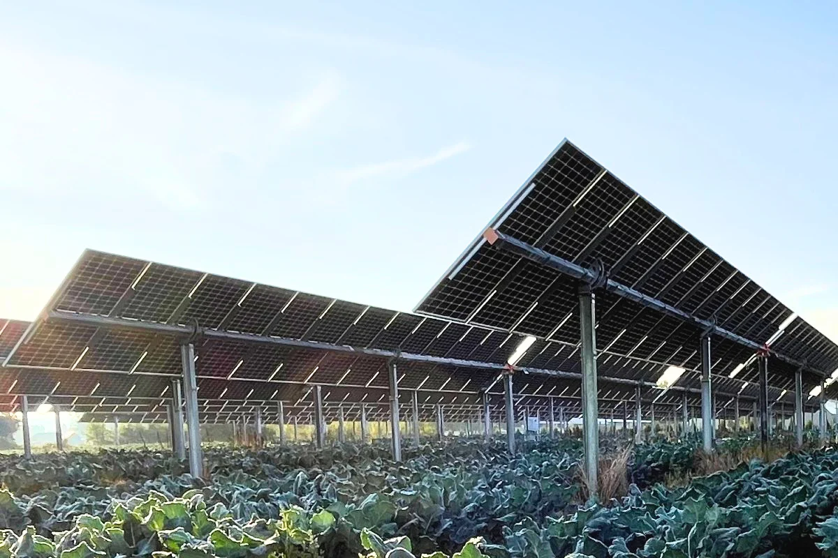 Utility-Scale Solar Does Not Have To Eliminate Productive Land: Integrating Agronomy For A Sustainable Energy Future.