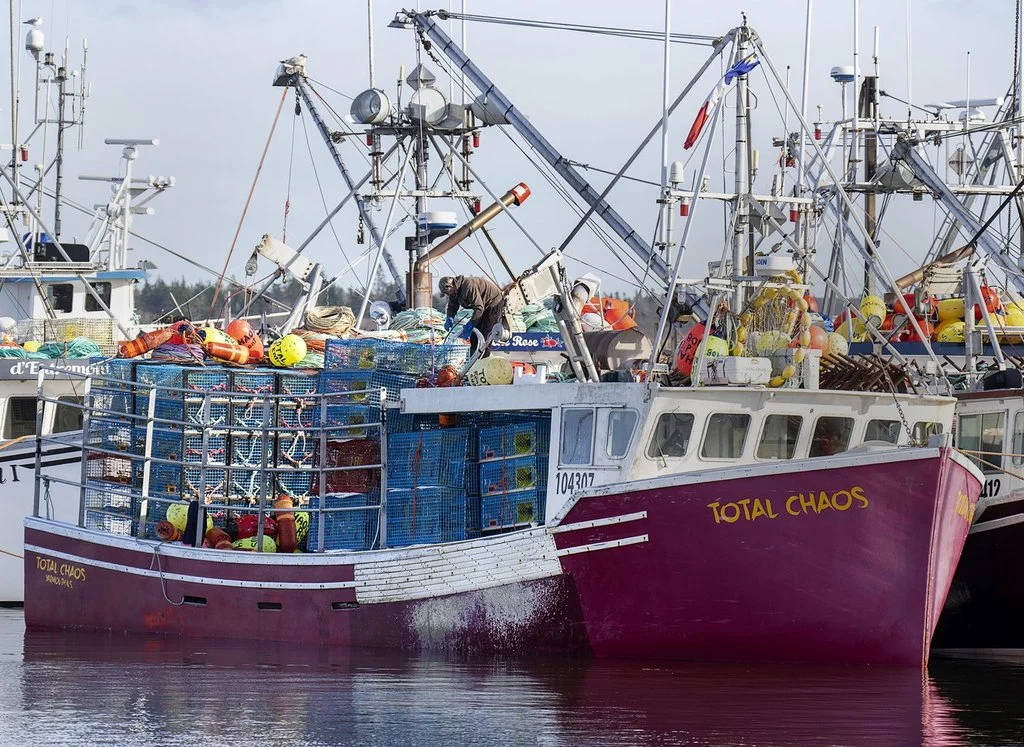 Atlantic Fisheries Fund Renewed with $300 Million Investment to Bolster Region’s Vital Seafood Sector Amid Global Economic Challenges