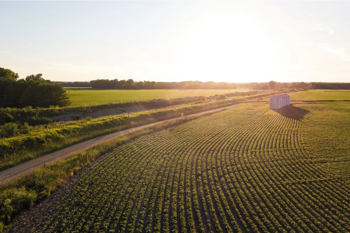 Challenging Agricultural Efficiency: A Call for Resilient Food Systems and Democratic Accountability