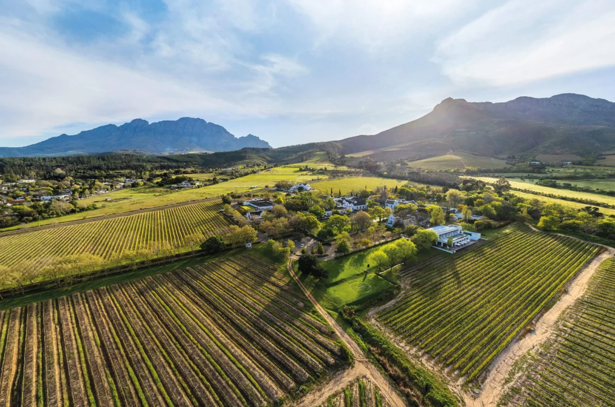 Japan’s Silent Revolution: How Hakuba’s Hotel La Vigne is uncorking a new era for Japanese wine