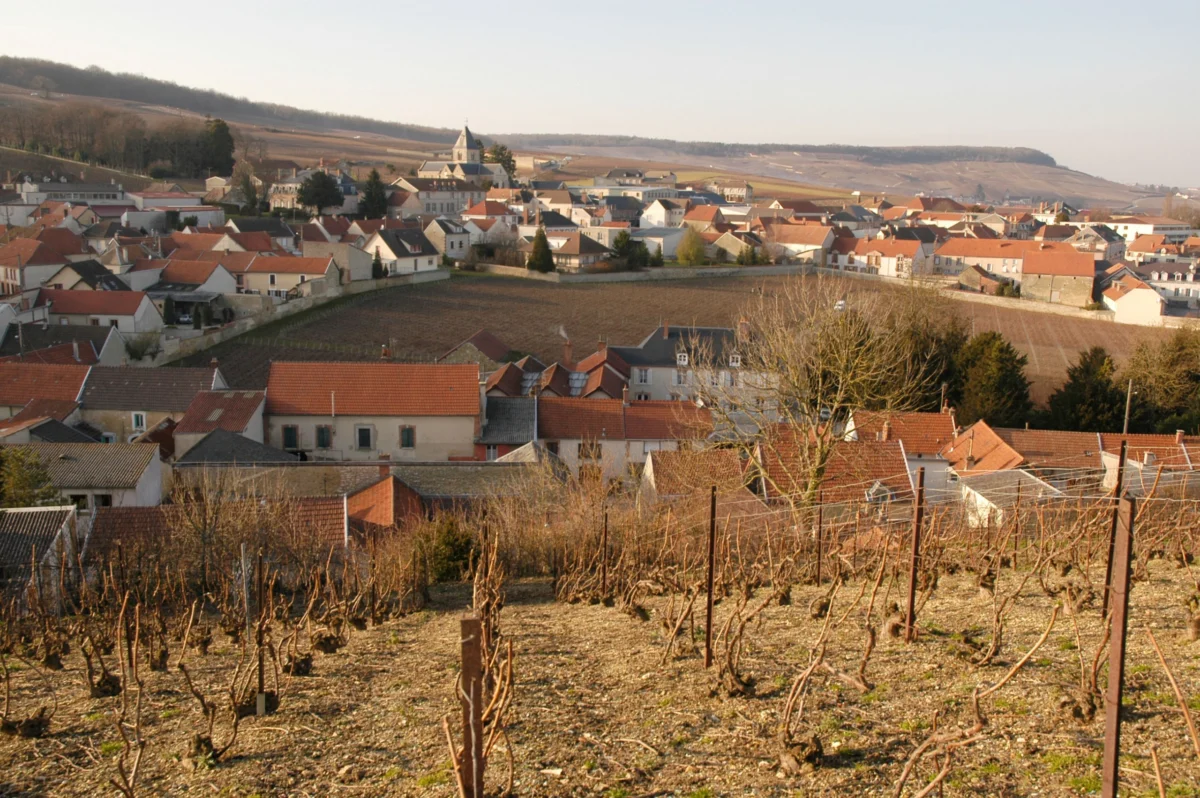 Louis Roederer Celebrates 250 Years of Enduring Excellence and 150 Years of Iconic Cristal Amidst Champagne Region’s Challenges