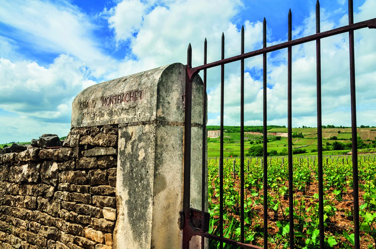 Mature Bordeaux Shines Amidst Challenging Fine Wine Market as Scarcity Drives Value and Investor Interest