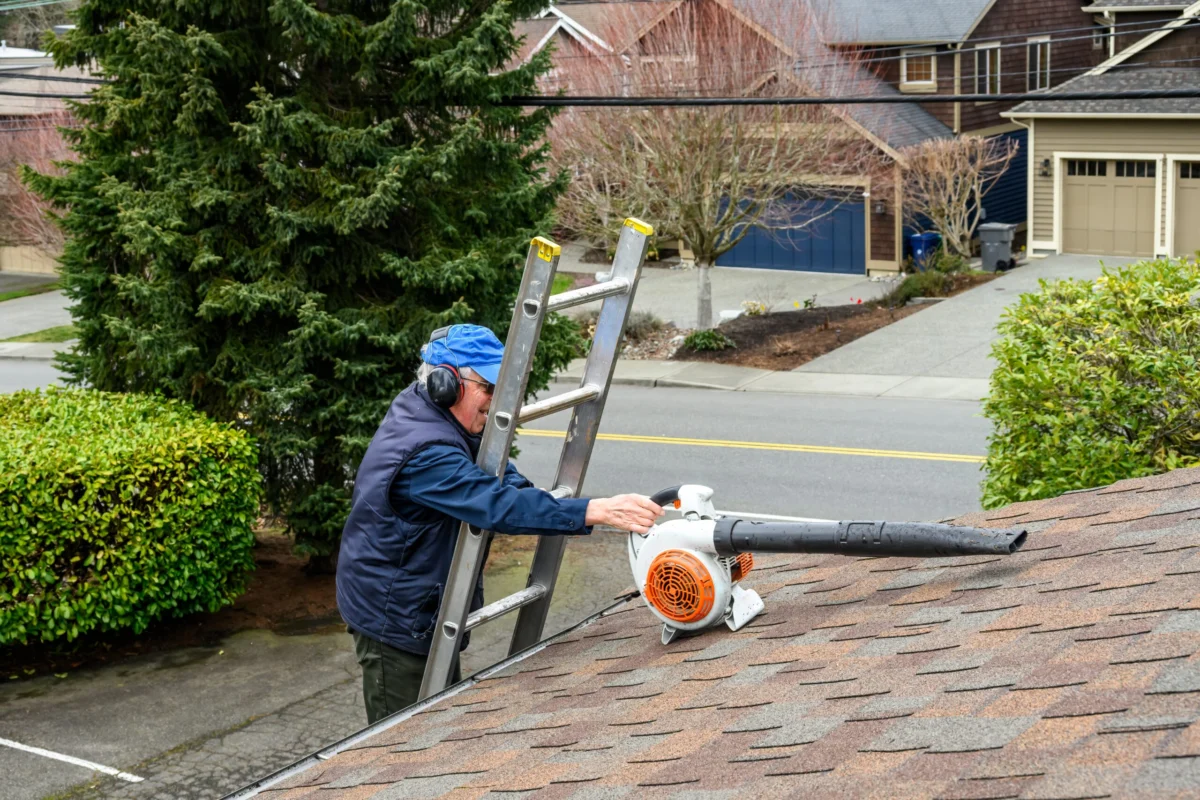 Maximizing Utility Essential Alternative Applications for Leaf Blowers in Year-Round Home Maintenance