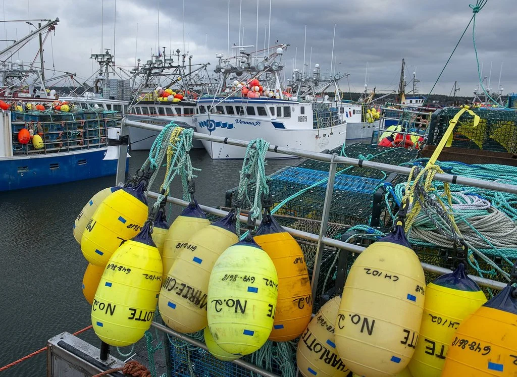 Nova Scotia Intensifies Fight Against Illegal Lobster Trade with Charges Against Two Businesses