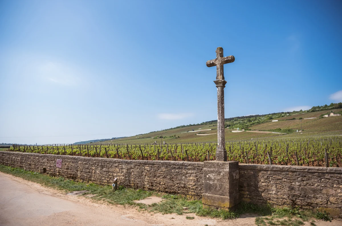 Rare 1945 La Tâche bottle to headline Bonhams wine auction in Paris