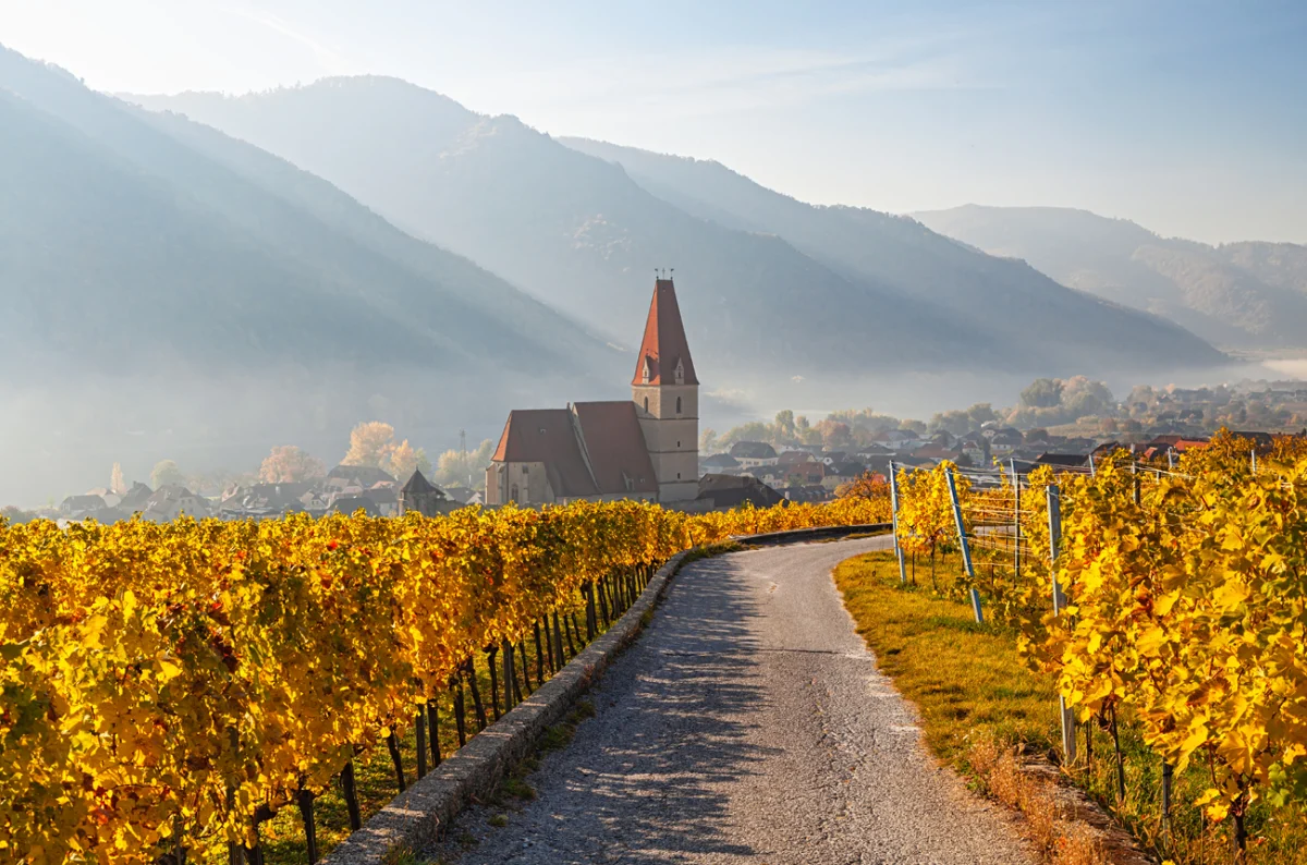 Salon of Decanter World Wine Awards Medal Winners Celebrates Regional Excellence and Indigenous Varieties in Slovenia