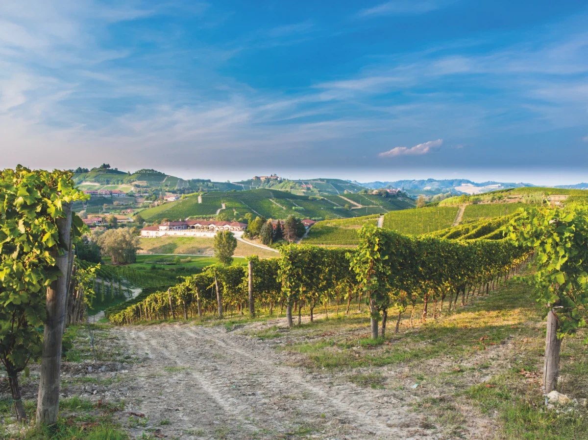 The Ancient Alchemy of Emilia-Romagna: Unveiling the Centuries-Old Craft and Modern Resurgence of Traditional Balsamic Vinegar