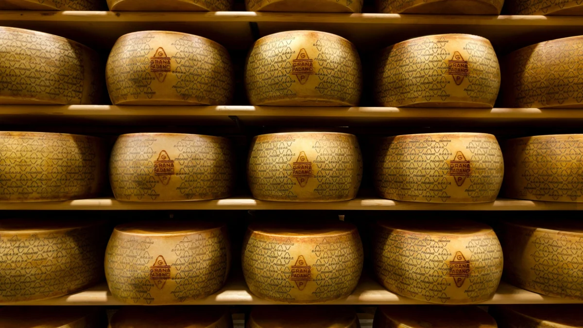 The Enduring Legacy of Grana Padano: A Taste of History from the Po River Valley