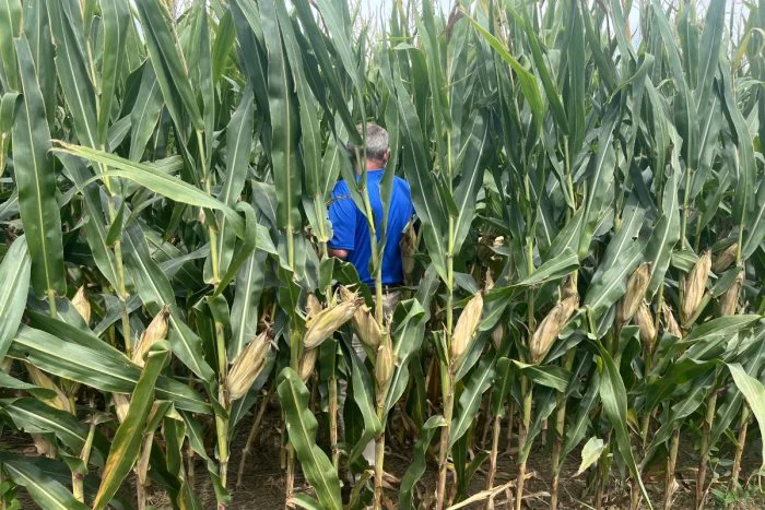 The Spectrum of Regenerative Agriculture: How Two Maryland Farms Define a Movement