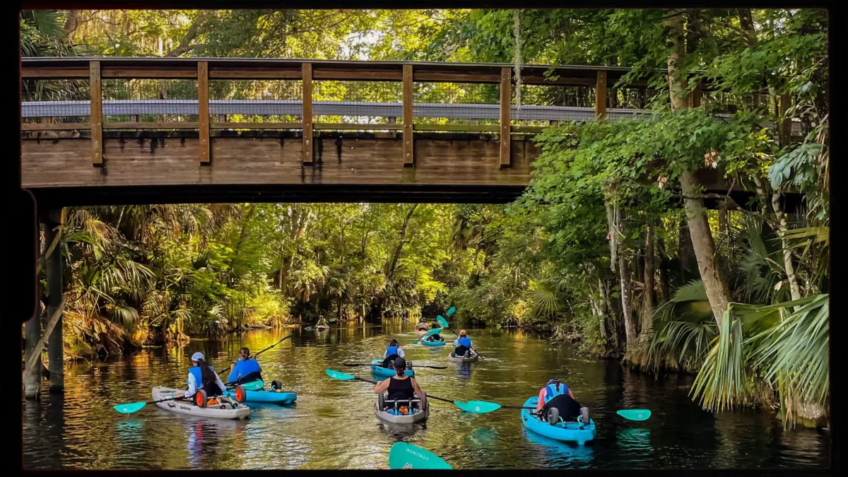 The Ultimate Guide to Unforgettable Airbnb Experiences: Discover Hidden Gems and Local Secrets