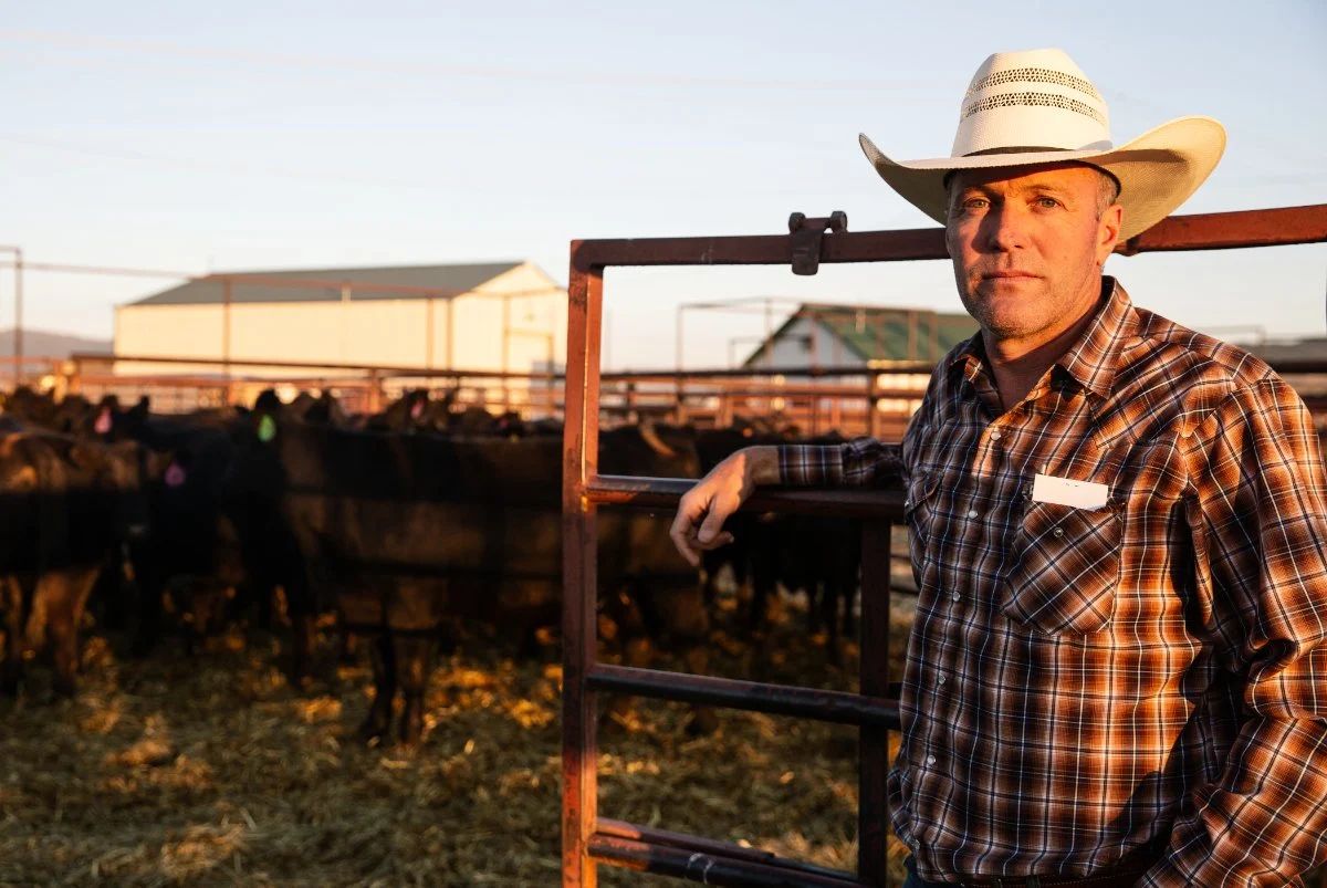 Trump Administration Grapples with High Beef Prices and Rancher Discontent Amidst Midterm Election Pressure