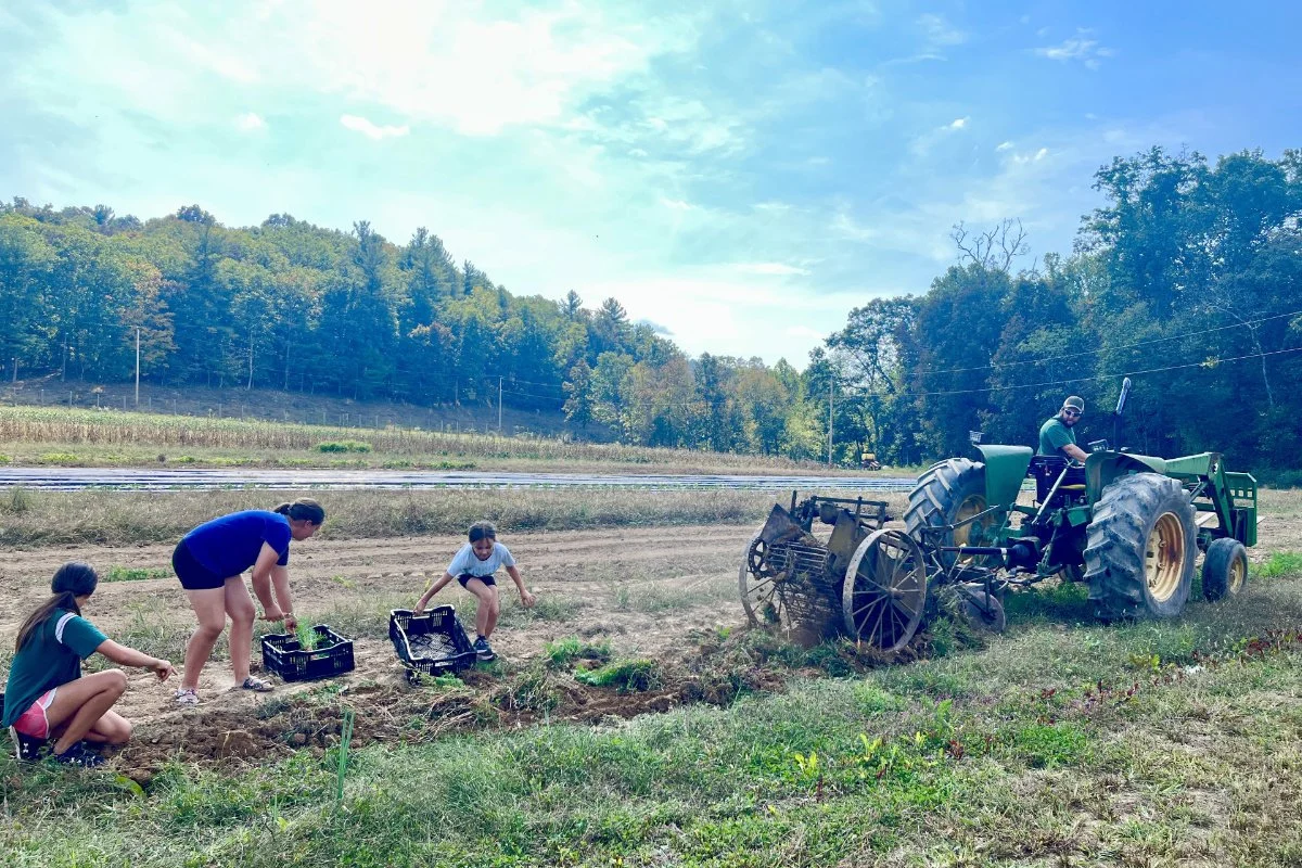 West Virginia’s Rural Food Crisis: Communities Grapple with Federal Policy Shifts and a Fraying Safety Net